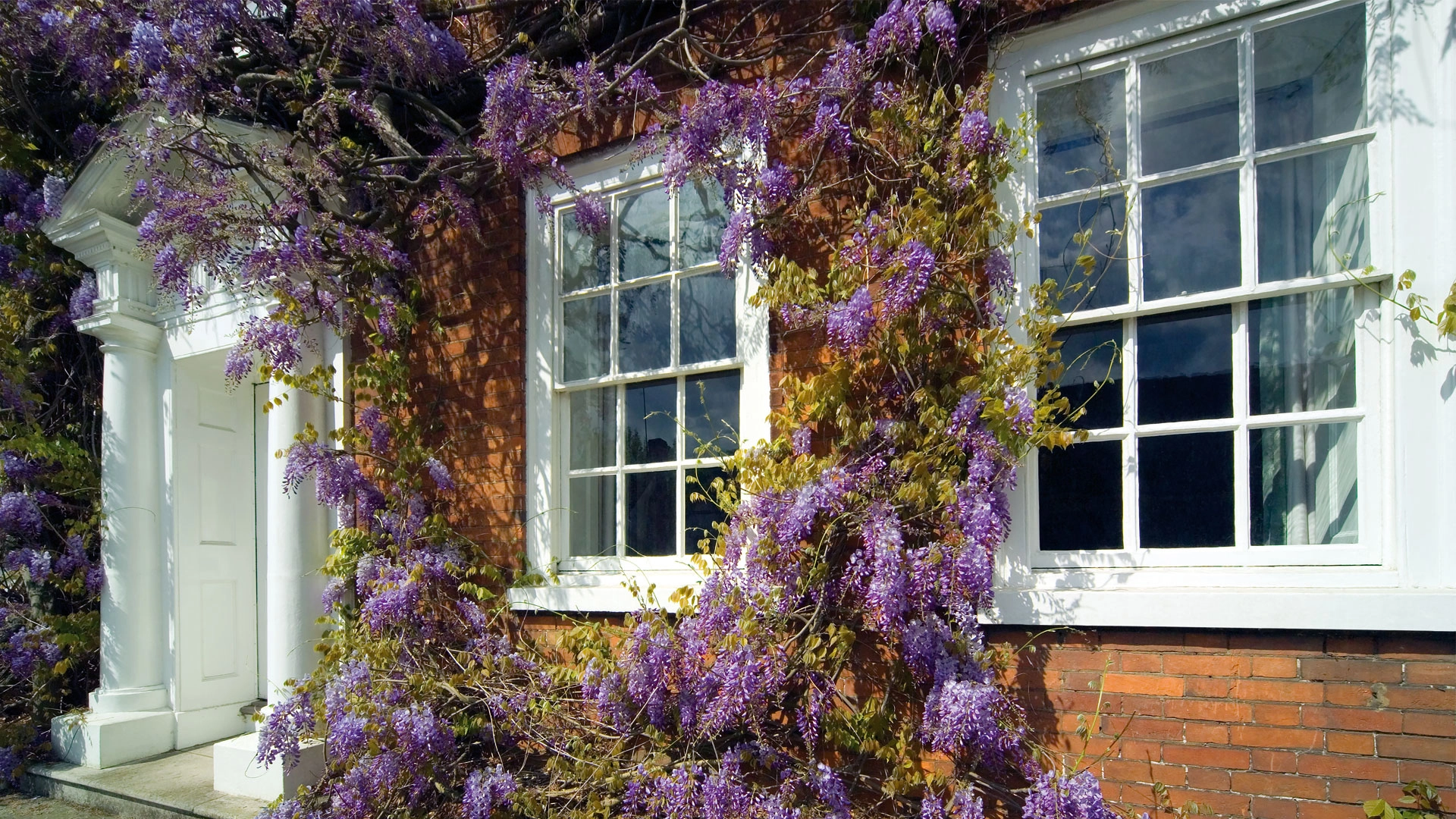 vertical-sliding-sash-windows-timber-look-glazing-hub-kettering